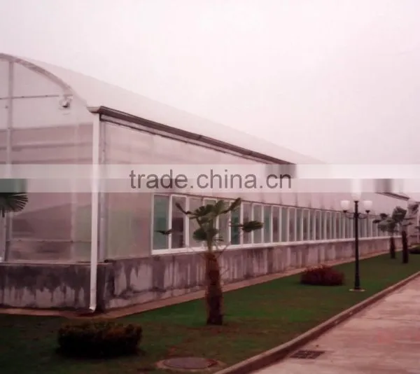 Arch Greenhouse photo-2