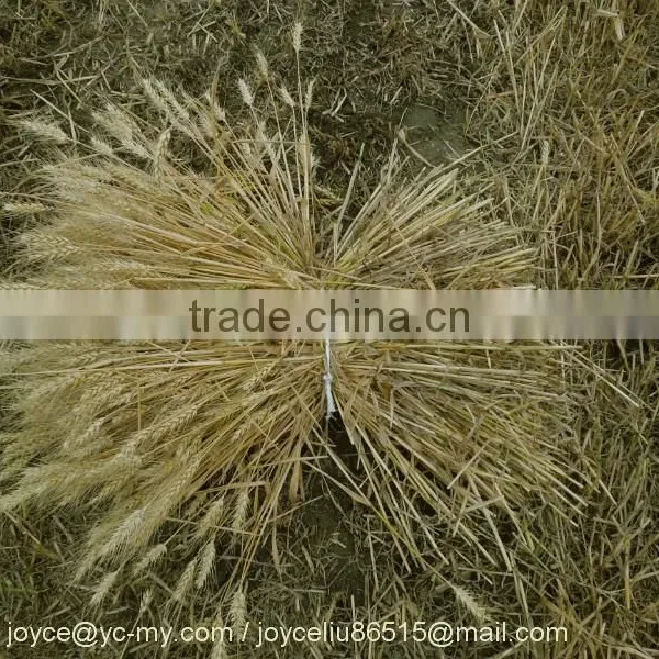 Agricultural Mini Swather/rice Wheat Reaper Binder/windrower photo-5