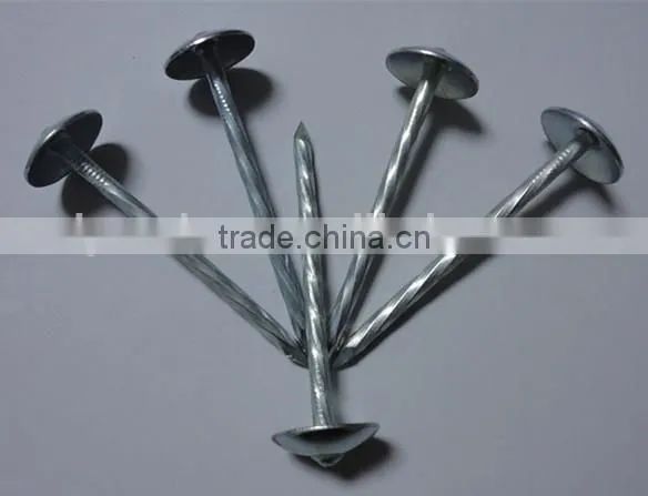 2.5 Inch Umbrella Head Roofing Nail Twisted Shank Roofing Nail Factory Price photo-4