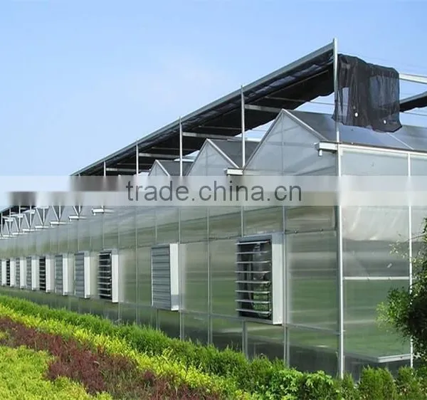 Baolida Cheap Vegetables Tunnel Greenhouse photo-6