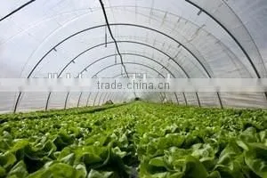 Baolida Hoop Green House for Strawberry photo-6
