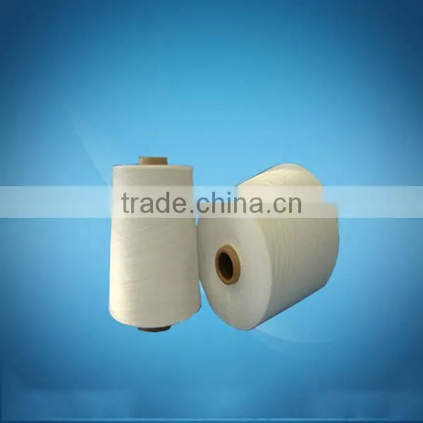 Wholesale 100% Cotton Yarn Carded 8s/2 Raw White on Cone Hammock Yarn photo-2
