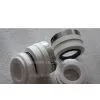 WB2 Mechanical Seals
