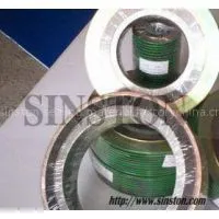 Graphite Filler Spiral Wound Gasket photo-2