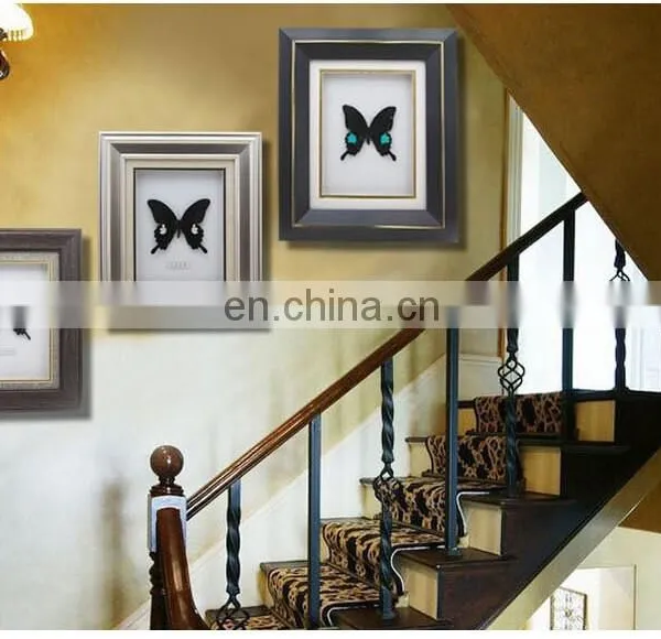 Nature Real Butterfly Frame Home Decoration Craft photo-2