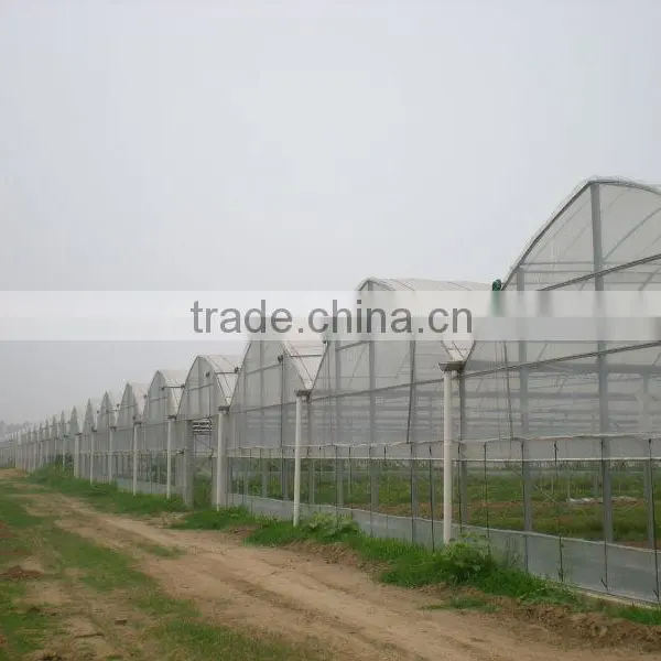 Agriculture Muti-span Plastic Covered Greenhouse photo-3