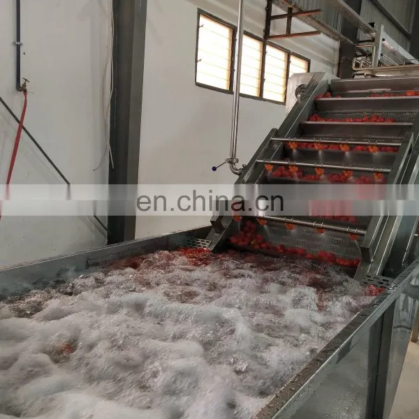 All Fruit Fully Automatic Concentrates Machine Natural Berry Juice Production Line photo-5