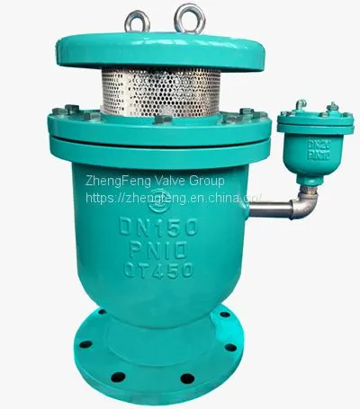Combination Air Valve