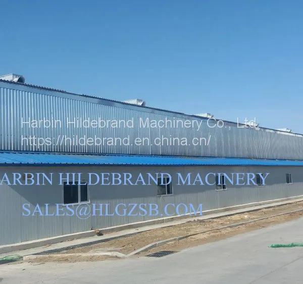Wood Drying Kiln in China photo-5
