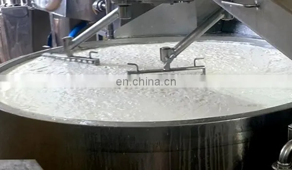 Cream Cheese Soft Cheese Making Machine photo-5