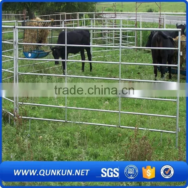 Fencing for Horse Used/fences for Horses Used photo-4