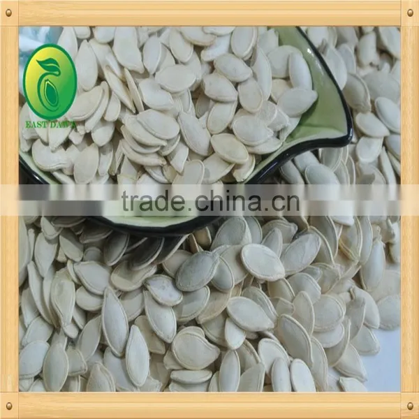 China Shine Skin Raw Pumpkin Seeds 10mm 11mm 12mm up Stock Online Promotion photo-3