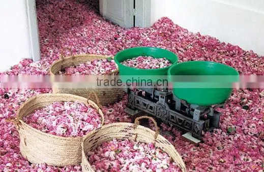 100% Pure Rose Essential Oil photo-5