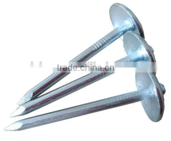 Galvanized Roofing Nail With Umbrella Head From DINGZHOU BEST HARDWARE CO.,LTD photo-5