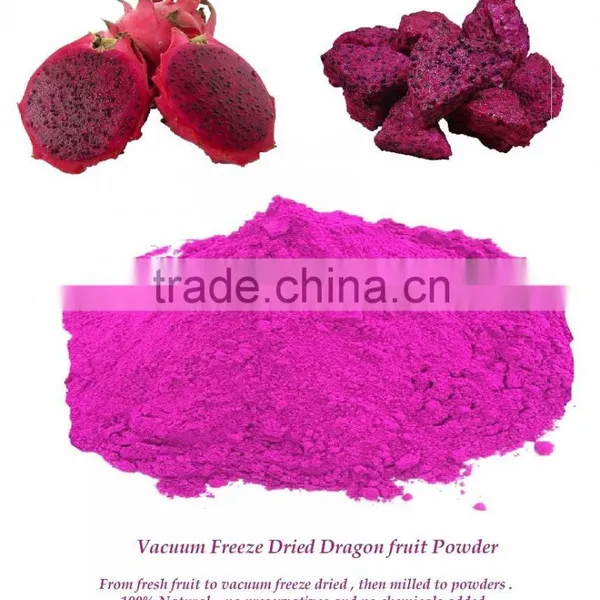 Dry Fruit Powder Export to US : Vacuum Freeze Dried Red Dragon Fruit Powder From Thailand photo-2