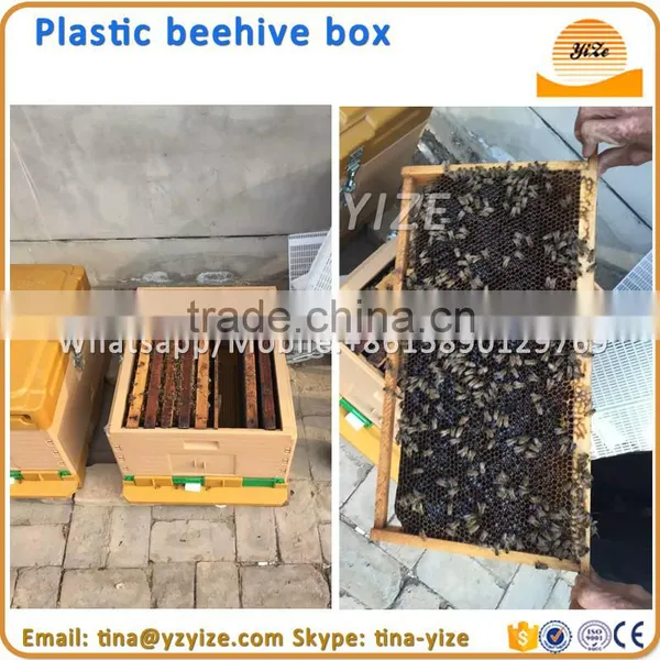 Plastic Hive , Beehive for Sale photo-4