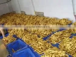 Fresh Ginger for Sale