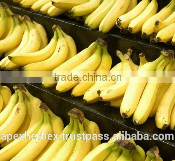 Banana Pulp Powder / Spray Dried Banana Powder / Powder of Banana Fruit photo-4