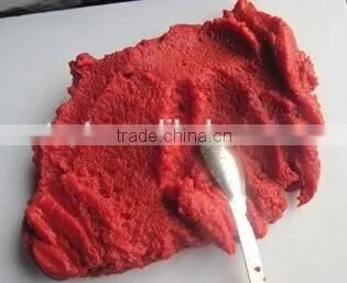 Double Concentrated Tomato Paste Canned Tomato Paste in Drum Gino Tomato Paste Factory photo-5