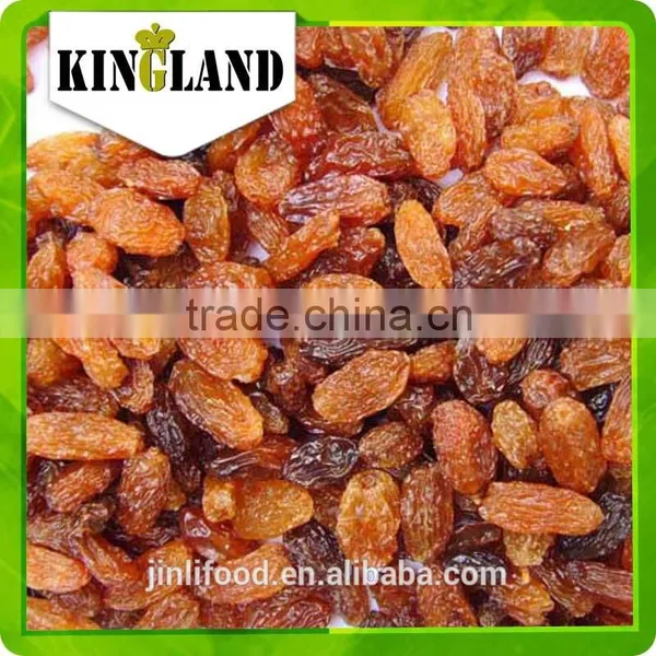 Hot Sale Xinjiang AAA Sultana Raisin Price photo-6
