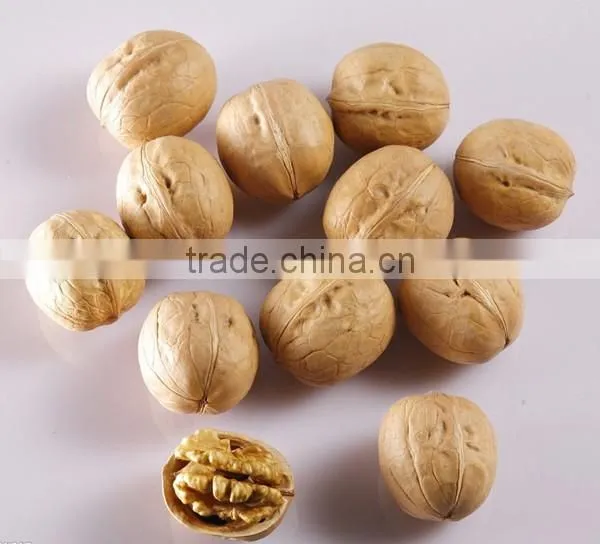 Natural Flavor Walnut Kernel for Selling and Fresh Walnut Kernel photo-5
