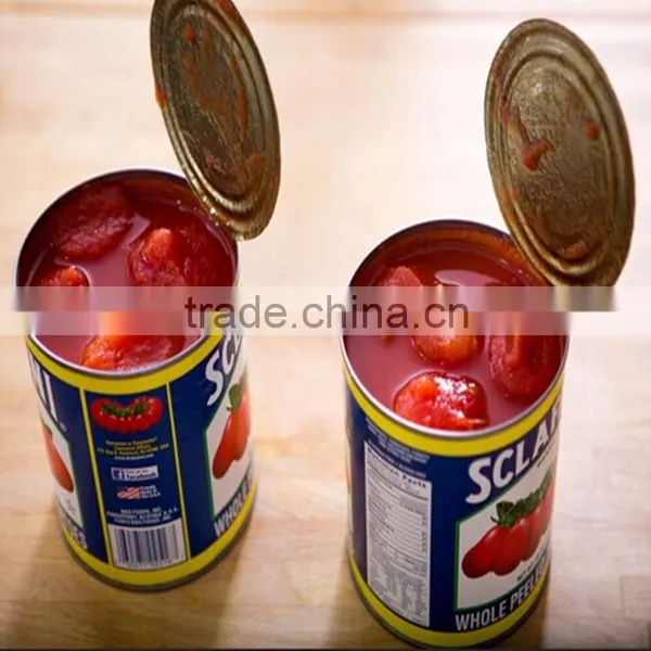 Canned Tomato Sauce Factory photo-2