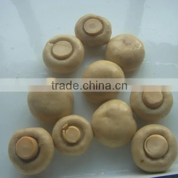 Canned Mushroom