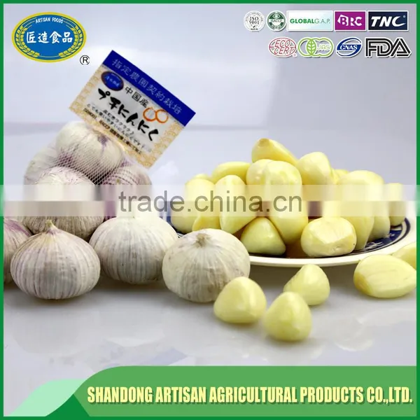 Low Price New Crop Solo Garlic for Wholesales photo-2