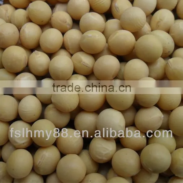 Big Yellow Bean/soya Bean/soybean 6.8-9.0mm