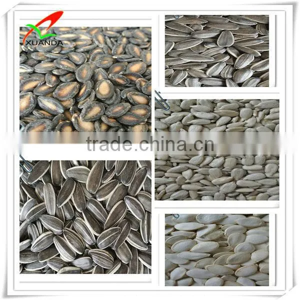 Water Melon Seed Kernels photo-3