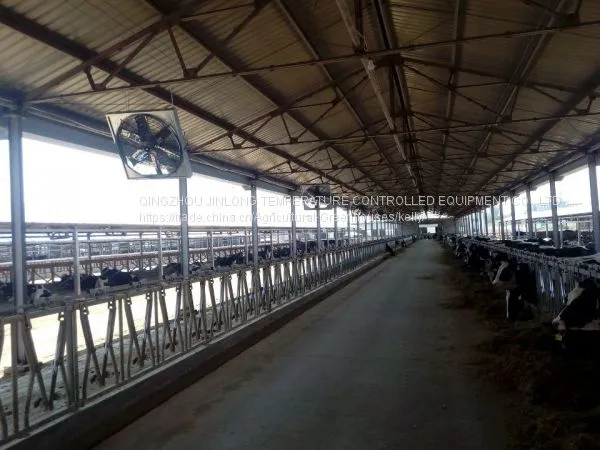 Dairy Cowhouse Hanging Cow Fan photo-4