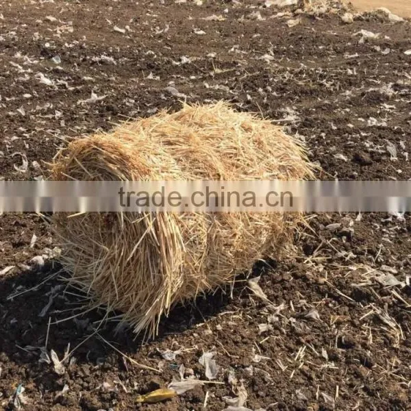 Walking Type Straw Bundling Machine 9YK-8070 photo-3