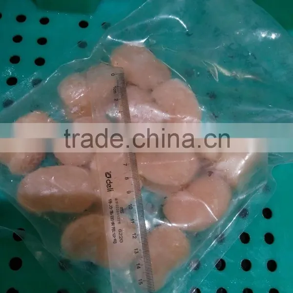 Frozen Fan Shell Scallop Without Chemical Treated photo-3