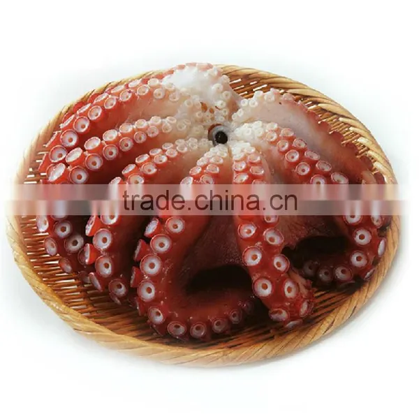 Health Certificate Seafood Frozen Octopus photo-6