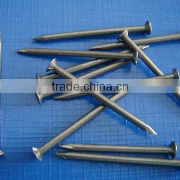 High Quality Common Wire Nail Iron Nal Factory photo-5