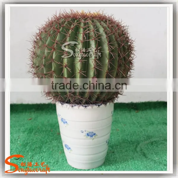 China Supplier Hot Sale Artificial Mini Cactus Plant Bonsai for Indoor and Outdoor photo-2