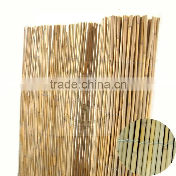 Reed Fence photo-2