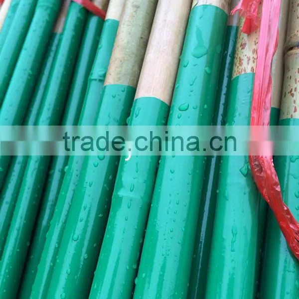 Plastic Coated Natural Garden Bamboo Canes photo-4