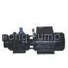 FREE SHIPPING Screw Self-Priming Presure Pumps(ZGD) 100%high Quality
