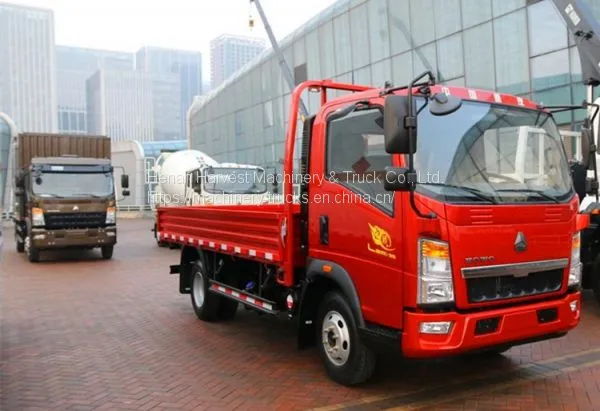SINOTRUK HOWO Light Duty Cargo Truck photo-2
