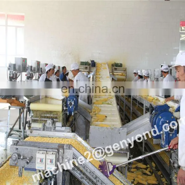 Custom Made Mushroom Production Line With High Quality photo-5