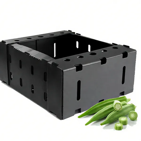 Custom PP Corrugated Plastic Okra and Vegetable Packing Boxes – Wholesale Manufacturer photo-2