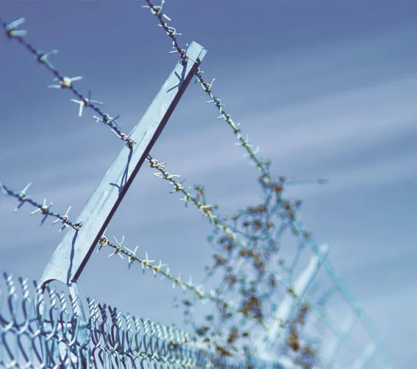 Galvanized 12.5 Gauge Single Strand Barbed Wire Fence Roll Pvc Coated Barbed Wire Fence photo-6