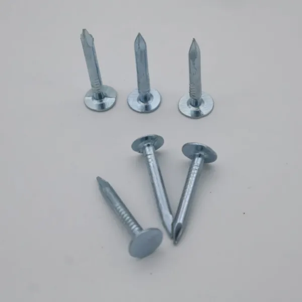 High-Strength Flat Head Roofing Nails 2 Inch 25kg Bulk for Industrial Use photo-3