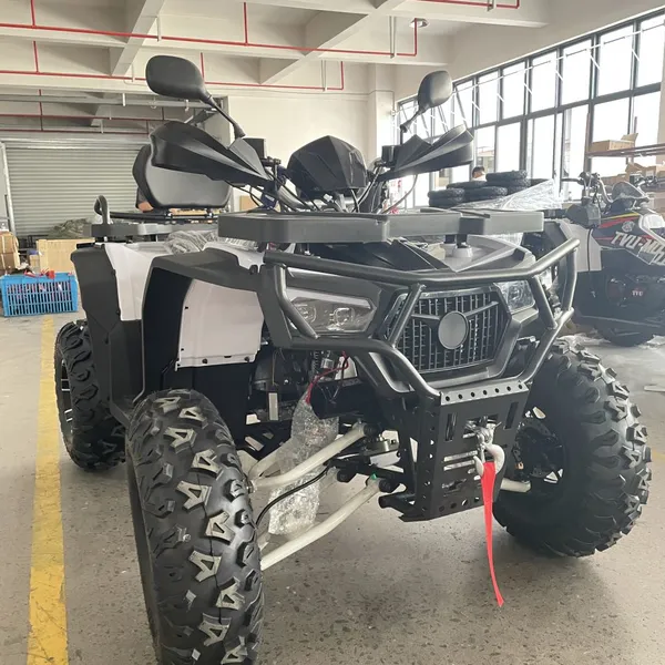 200CC Quad Bikes ATV 4x2 Petrol ATV Motorbike Motorcycle photo-4
