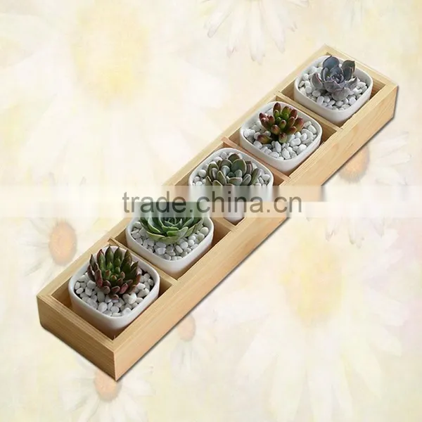 Wooden Planter Box Succulent Plants in Pots photo-3