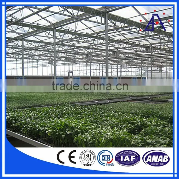 China Manufacturer Aluminium Profiles for Greenhouse photo-5