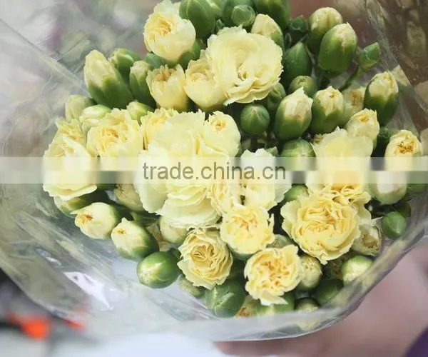 Colorful Hot Sale Flowers Carnation Wedding Flowers photo-4