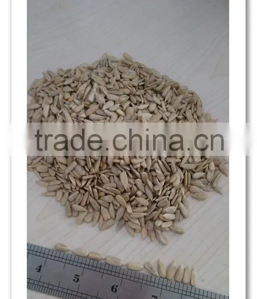 sunflower kernels(confectionary and bakery)