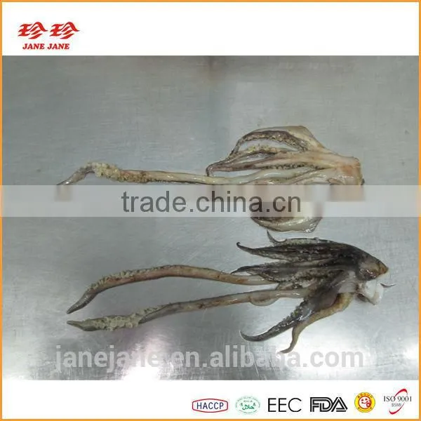 Frozen Squid Tentacle - Ommastrephes Bartrami photo-2